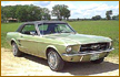 Jean's 1967 Mustang